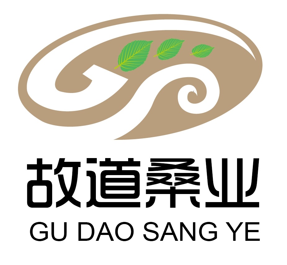 喝茶就可以防脫生發(fā)，太神奇了！桑葉養(yǎng)生茶