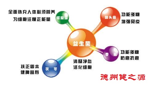 腸胃功能差，益生菌就可以解決一切