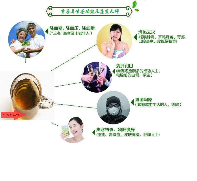 桑葉茶，營養(yǎng)長壽健康之茶