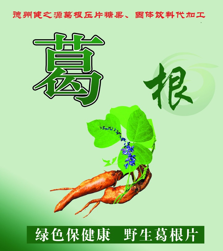 葛根，男女通用的人體調理專家