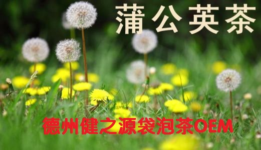 蒲公英茶，今天您喝了嗎？