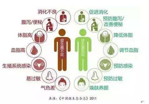 夏天腸胃問題頻發(fā)，您應(yīng)該用益生菌了